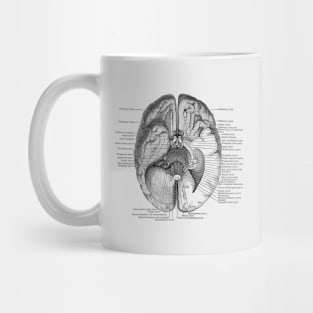 Brain Nervous System Diagram - Vintage Anatomy Mug